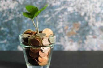 芡实最新行情与走势分析报告？